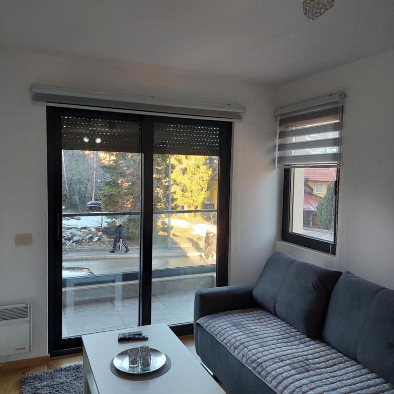 Apartman Kneginja&Spa Zlatibor - Apartman sa 1 Spavaćom Sobom - 36
