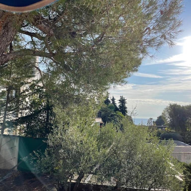 Cassis, superbe appartement avec terrasse - Appartement 2 Chambres - 2