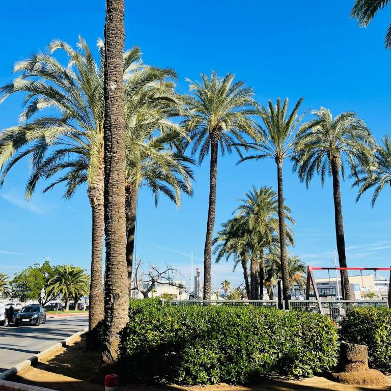 Puerto Denia Harbour Views - Apartamento con balcón - 65