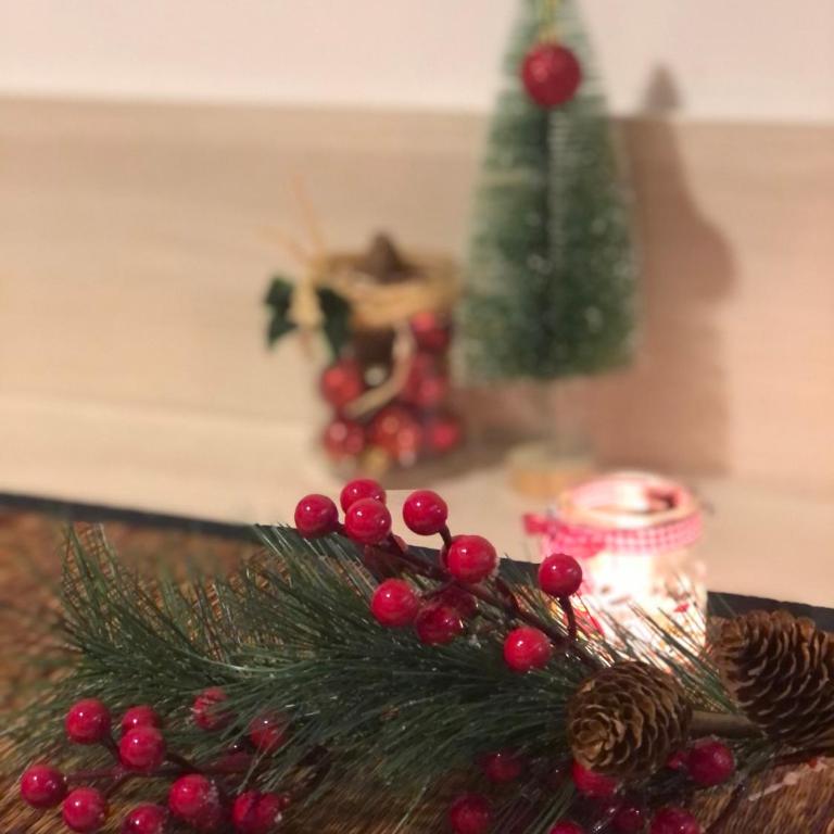 Milmari M12 - Apartment - 23