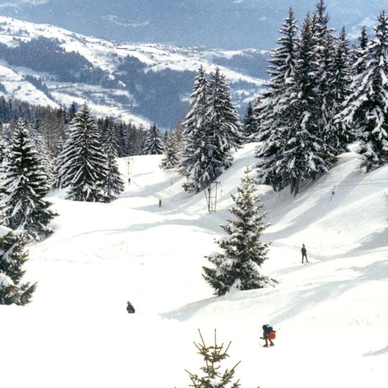 Les Chalets d'Anzère - Chalet Confort - 16