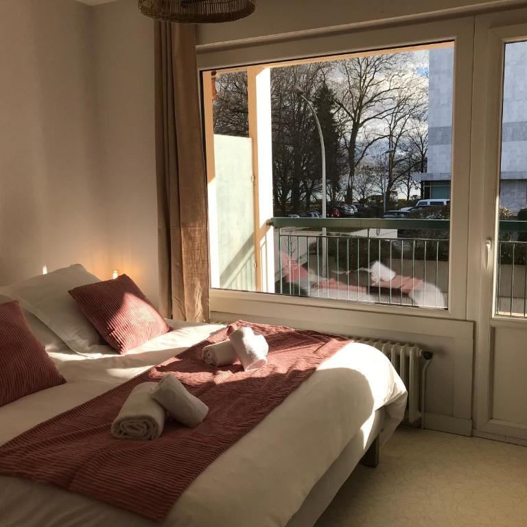 LE LYS D'OR - cosy et proche lac, balcon terrasse - Apartment mit 1 Schlafzimmer - 13
