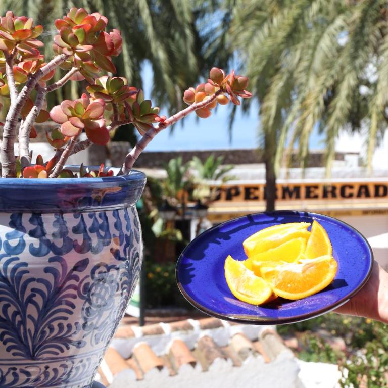 Casa P.Jazmin - Nerja - Spain - Apartamento de 2 dormitorios - 13