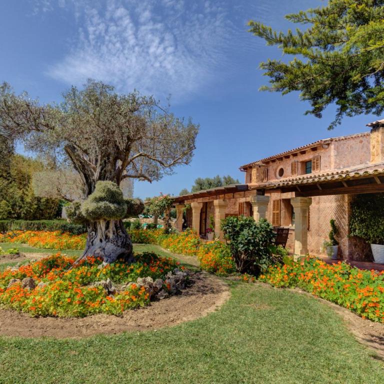 Ses Contesas - Villa de 3 dormitorios - 38