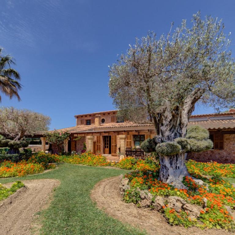Ses Contesas - Villa de 3 dormitorios - 48