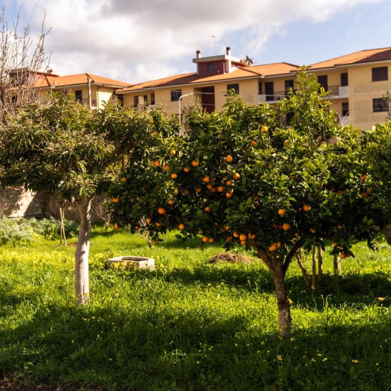 Modica Relax Garden - Appartamento con 1 Camera da Letto - 22