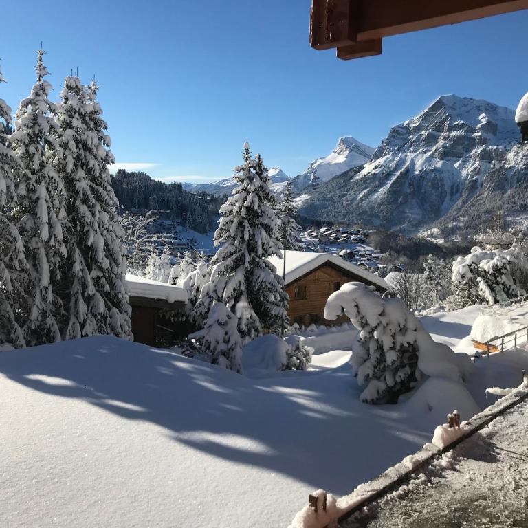 Les Grangettes 2 - DUPLEX - WIFI gratuite - Apartamento de 2 dormitorios - 4