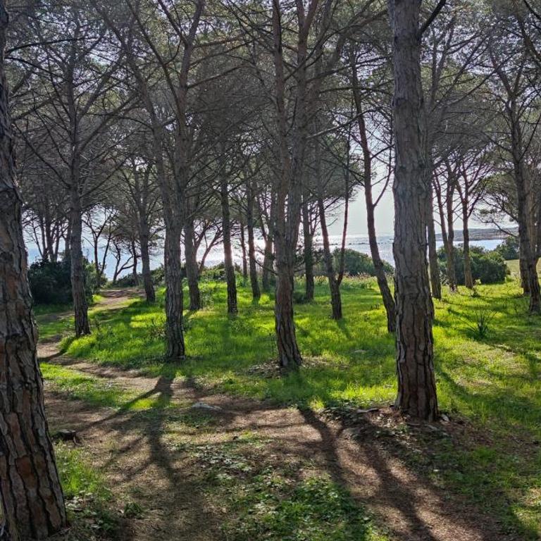 DOLCE CASA Baïa Sant'Anna - Budoni - Casa con 2 Camere da Letto - 2