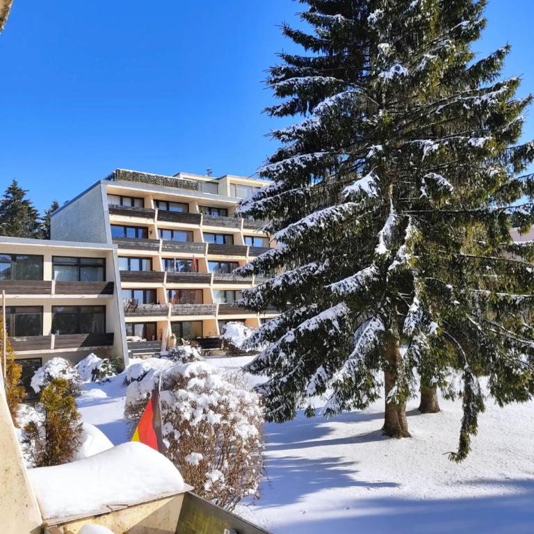 Ferienapartment Alois in Sankt Englmar - Appartamento con 1 Camera da Letto - 11