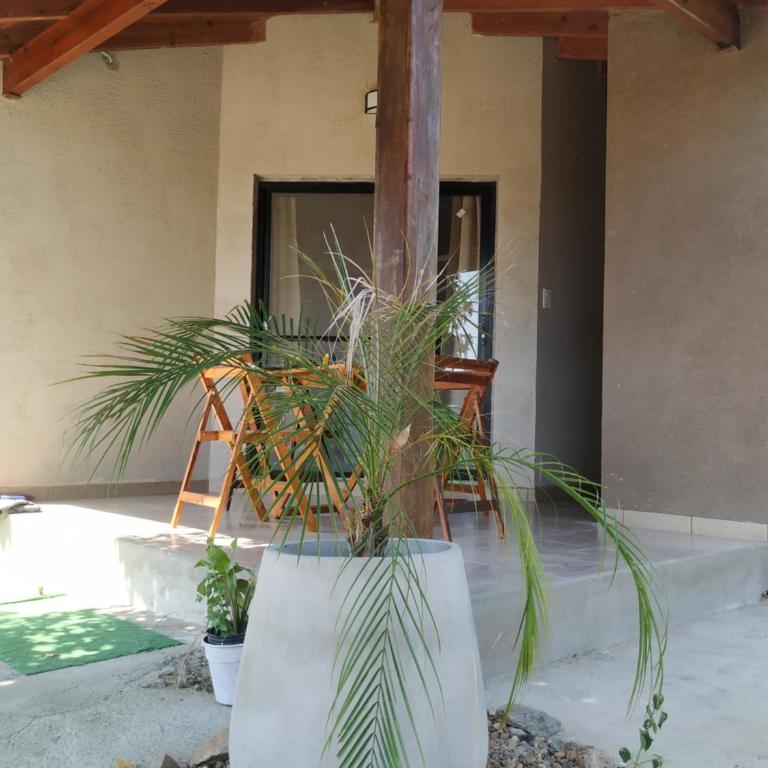 RIO ARRIBA - Apartamento de 1 dormitorio - 2