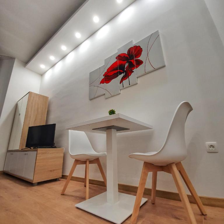 Sarajevo Sans modern Apartments - Studio Apartman - 5