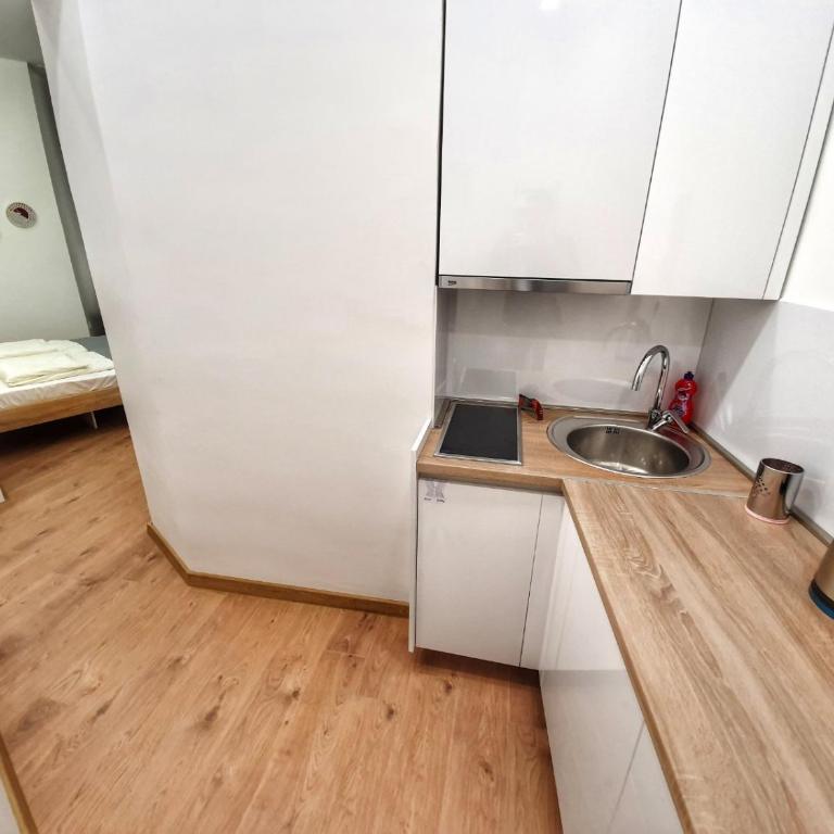 Sarajevo Sans modern Apartments - Studio Apartman - 6