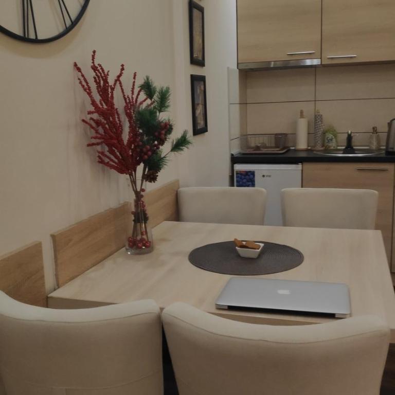 Apartman Sunset Milmari Kopaonik M10 - Apartment with Mountain View - 48