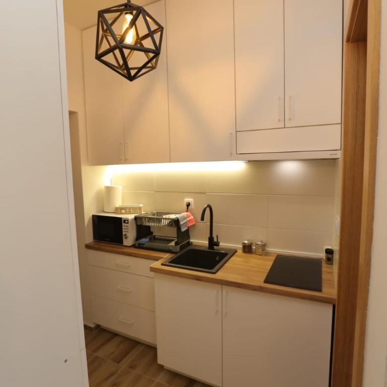 Wood Apartmani - Vila Zimska idila Jahorina - Standard Studio - 4