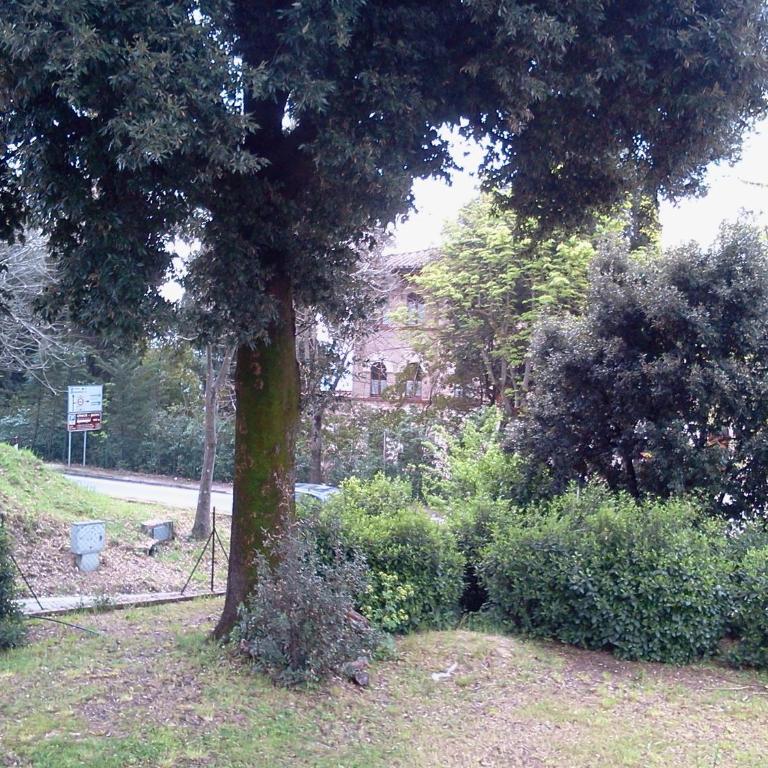 La Casa Di Famiglia - Appartamento con 1 Camera da Letto - 14