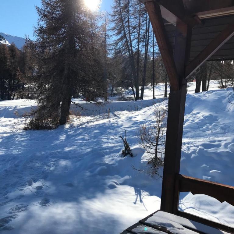 Duplex cosy jusqu'à 6 personnes- chalet des Pléiades - départ skis aux pieds en bordure de piste sans portage - au milieu des fleurs en été - l'autre duplex du chalet est également à nous - Chalet - 26