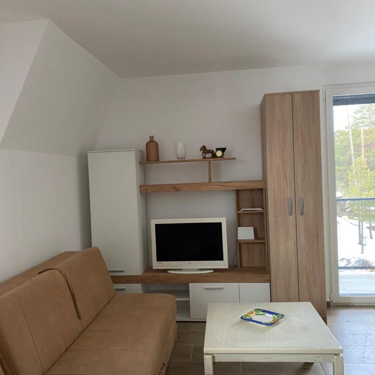 Apartman Anastasija Jezero - One-Bedroom Apartment - 4