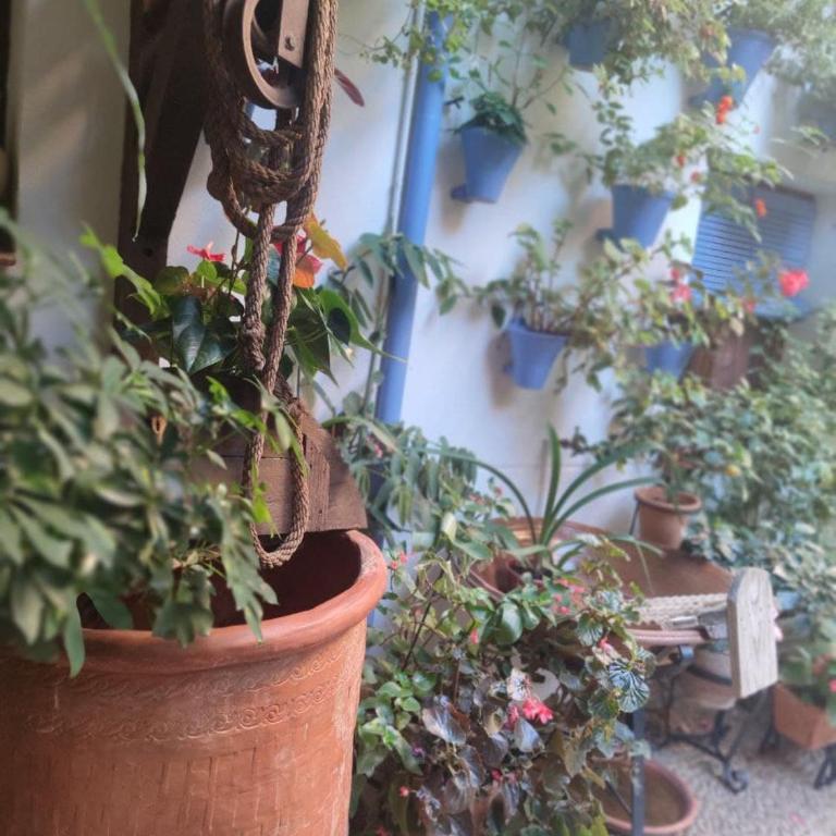 El Capricho de San Fernando, Consigna gratis y Parking a 200mts - Apartamento - 76