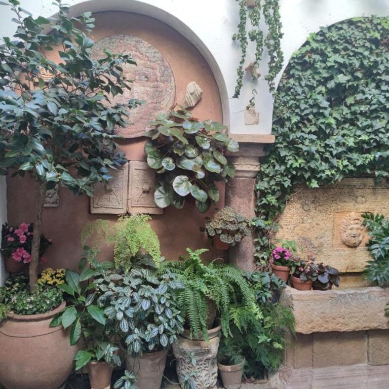 El Capricho de San Fernando, Consigna gratis y Parking a 200mts - Apartamento - 74