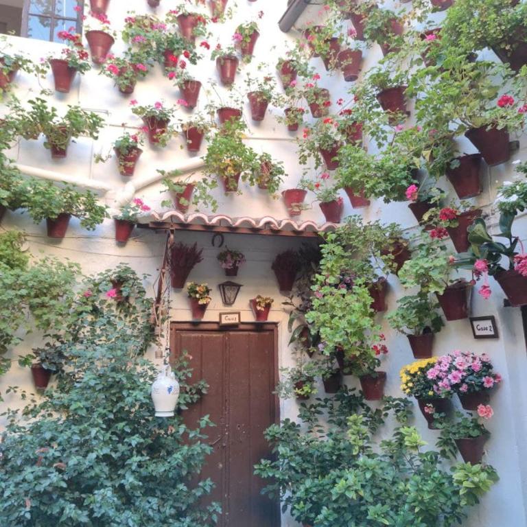 El Capricho de San Fernando, Consigna gratis y Parking a 200mts - Apartamento - 75