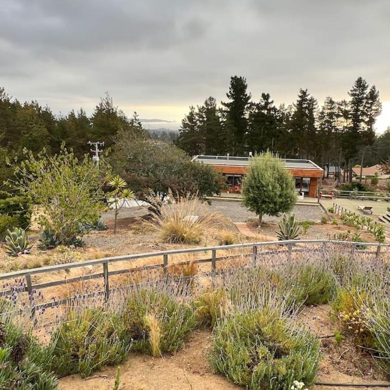 Little Moonhouse - Pool - BBQ - Seaview - Fruit Garden - Casa - 16