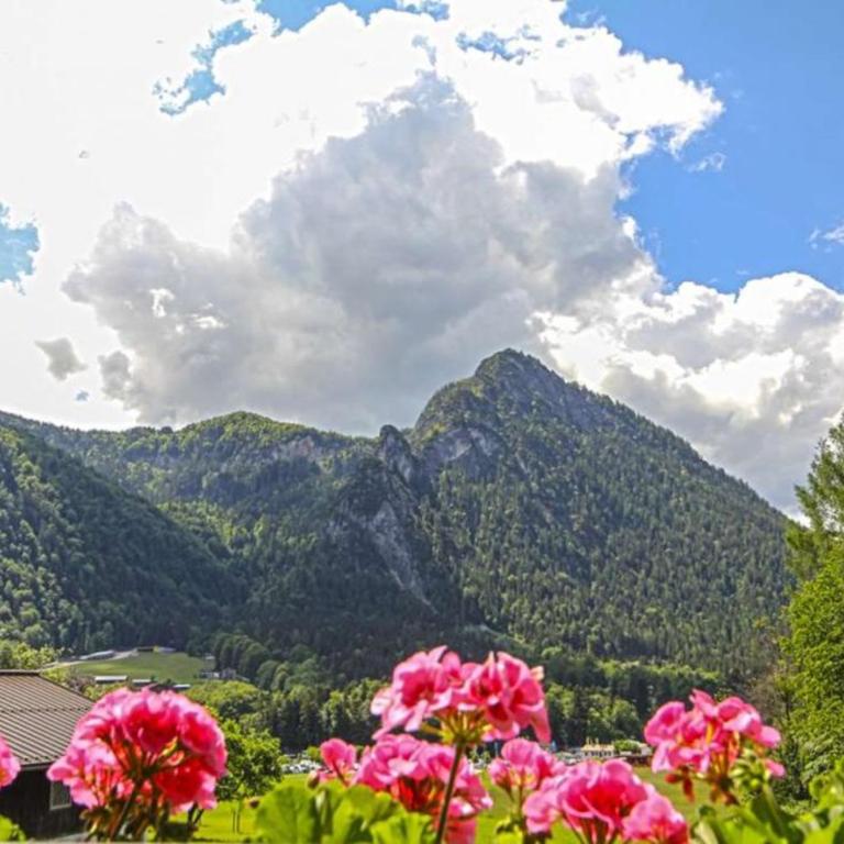 Gästehaus Weinrebe - Apartamento con vistas a las montañas - 8