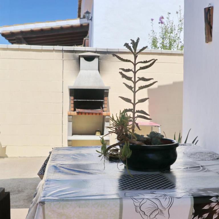 Chalet Chaparrillo Conil - Casa - 7