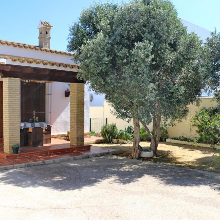 Chalet Chaparrillo Conil - Casa - 6