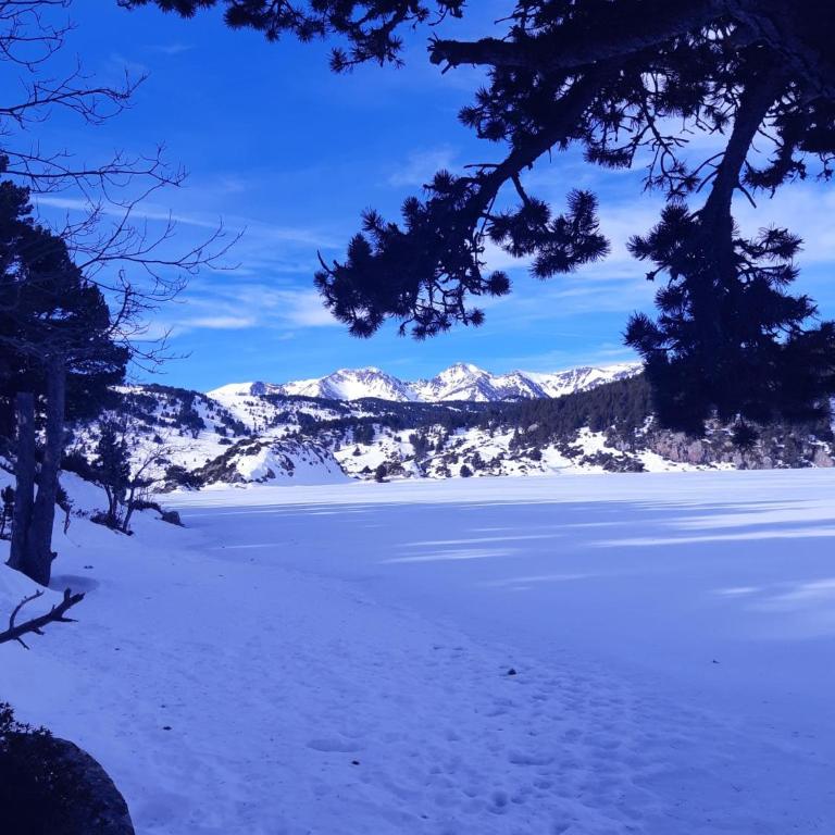 Font-Romeu près des pistes - Appartement 2 pièces très lumineux avec terrasse et vue panoramique - Appartement 2 Chambres - 17