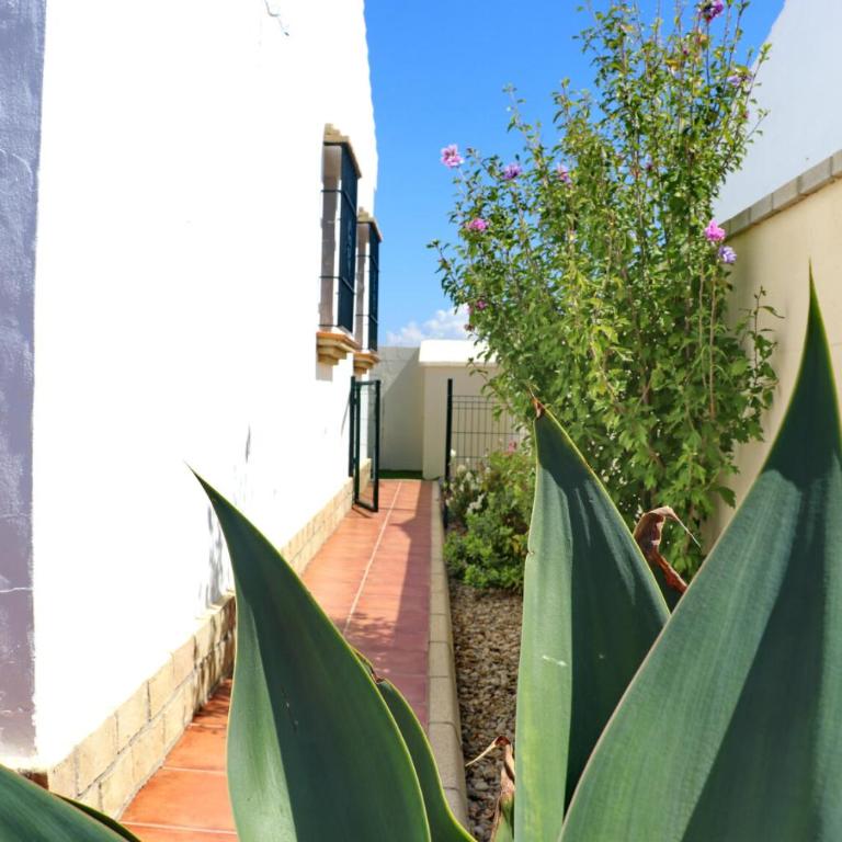 Chalet Chaparrillo - Casa - 9