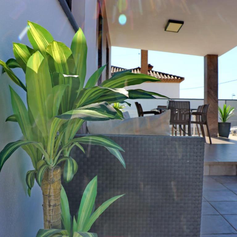 Chalet moderno con pisicina - Casa - 12