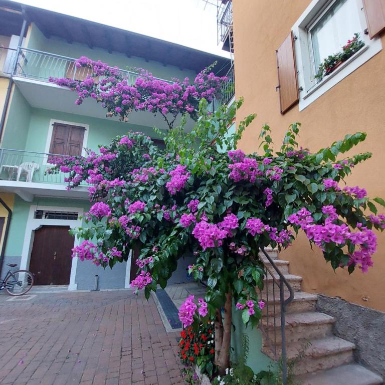 La bougainville - luxury apartment - Apartment mit Seeblick - 42