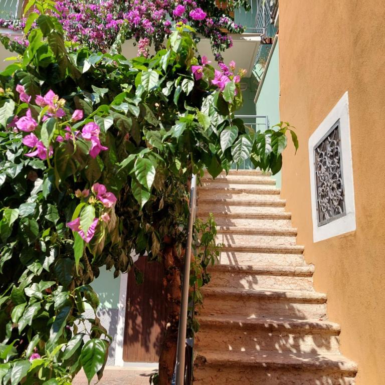 La bougainville - luxury apartment - Apartment mit Seeblick - 39