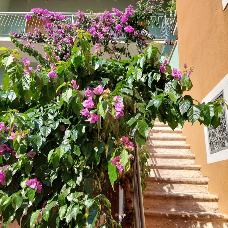 La bougainville - luxury apartment - Apartment mit Seeblick - 40