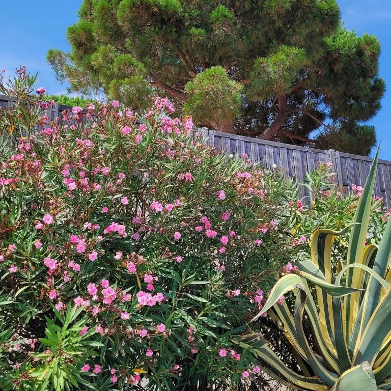 Villa Palm' Issambres 6 personnes, clim, avec piscine, jardin et parking privés - Villa 3 Chambres - 45