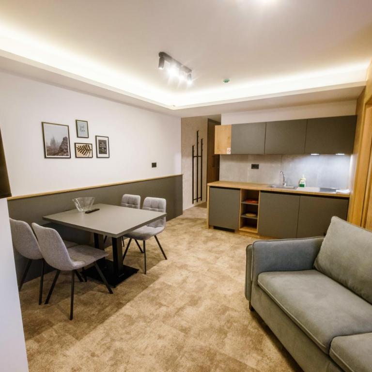 Apartments Suncani Vrhovi Kopaonik - One-Bedroom Apartment - 1