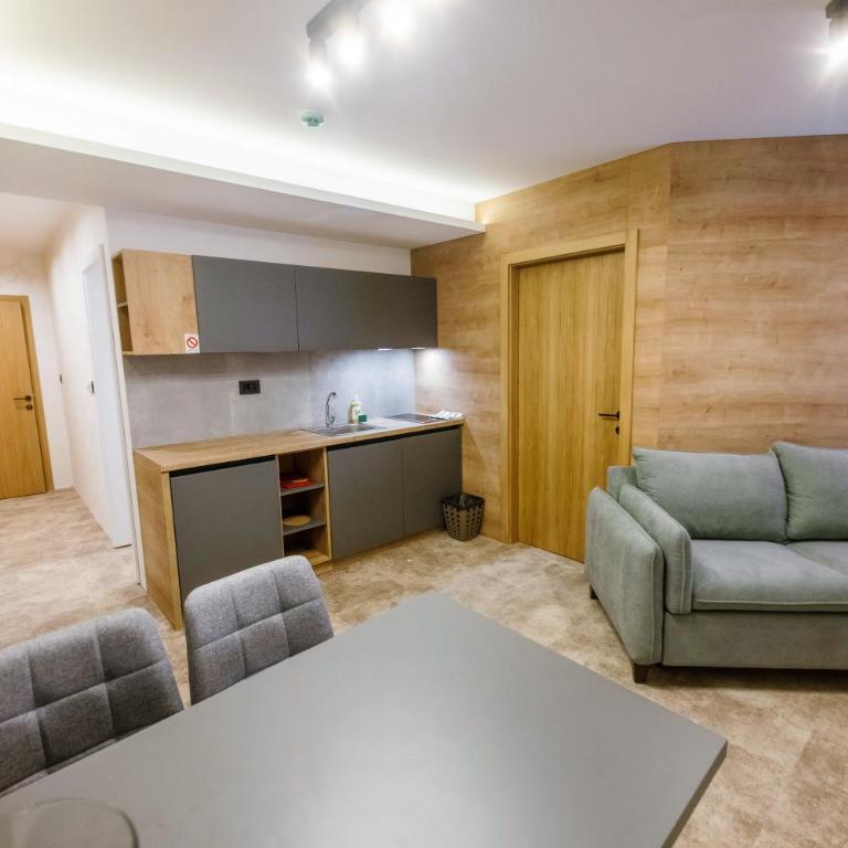 Apartments Suncani Vrhovi Kopaonik - One-Bedroom Apartment - 5