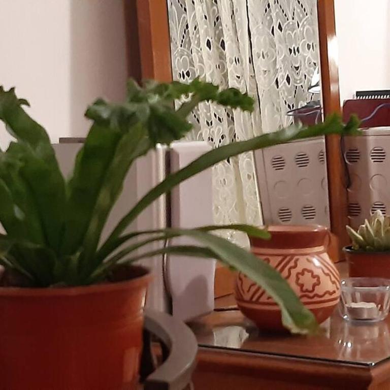Departamento 2 ambientes a metros de Peatonal San Martín - Apartamento de 2 dormitorios - 5