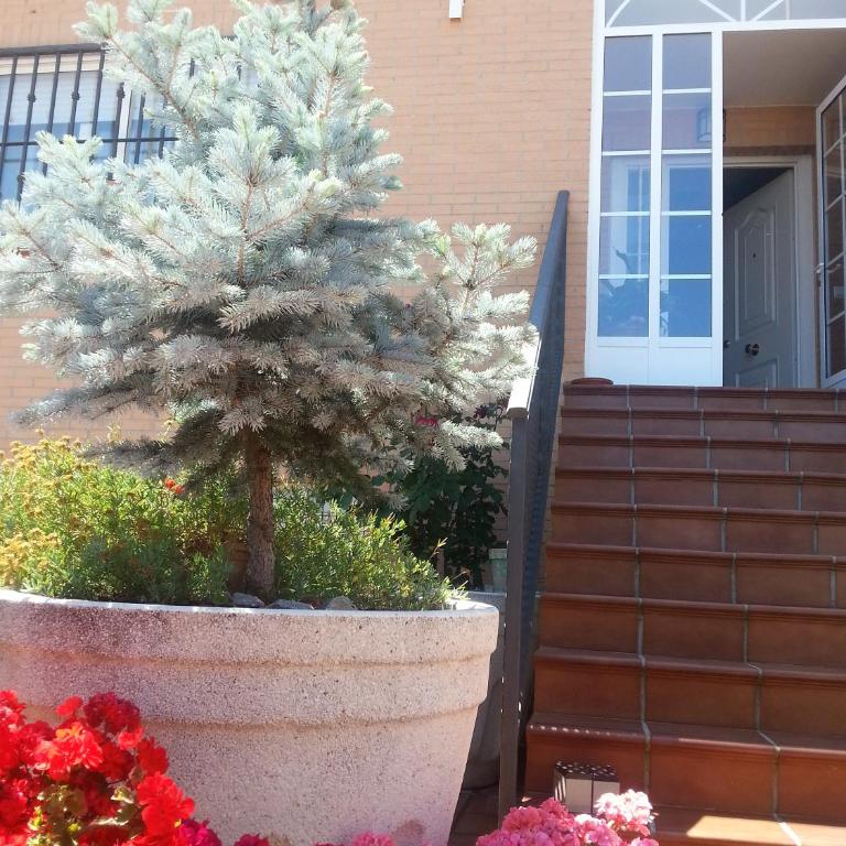 Casa Montesol - Casa de 4 dormitorios - 4