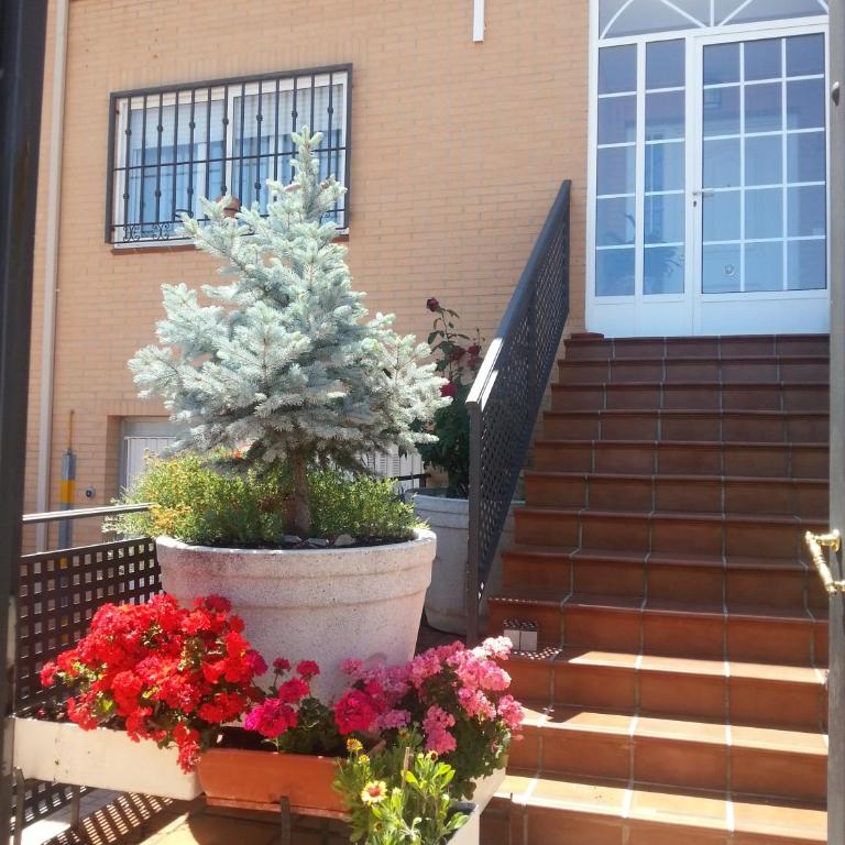 Casa Montesol - Casa de 4 dormitorios - 6