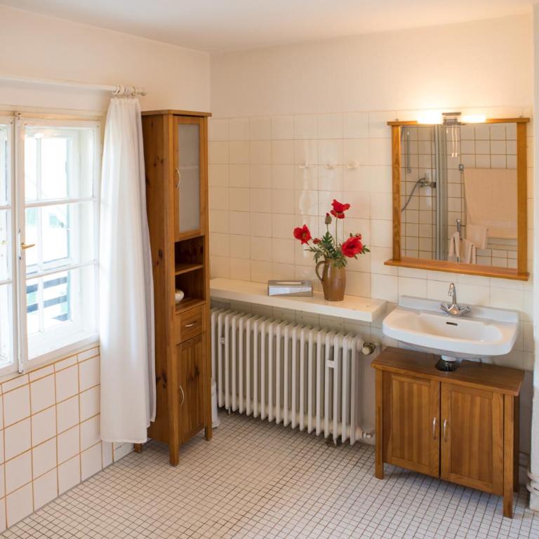 Schloss Fürstenstein - Casa Vacanze - 13