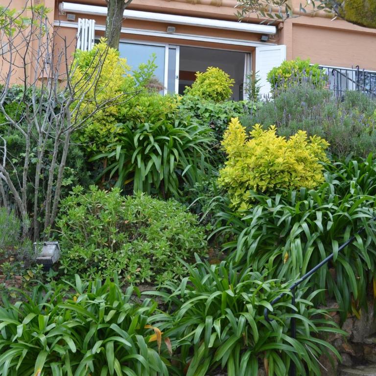 Apartament singer - Apartamento de 3 dormitorios - 5