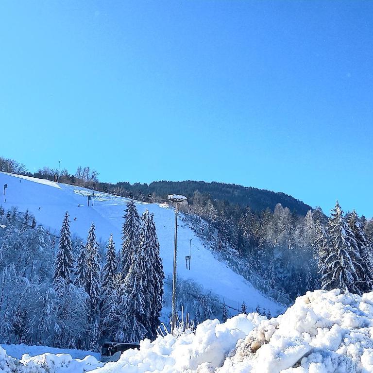 Alie Gusta - Apartment mit Blick auf die Berge - 41