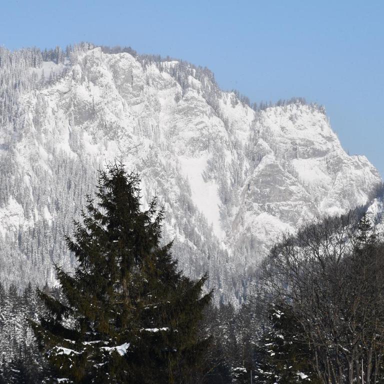 Tauern-Hütt'n - Alpenzauber - Haus mit 3 Schlafzimmern - 26