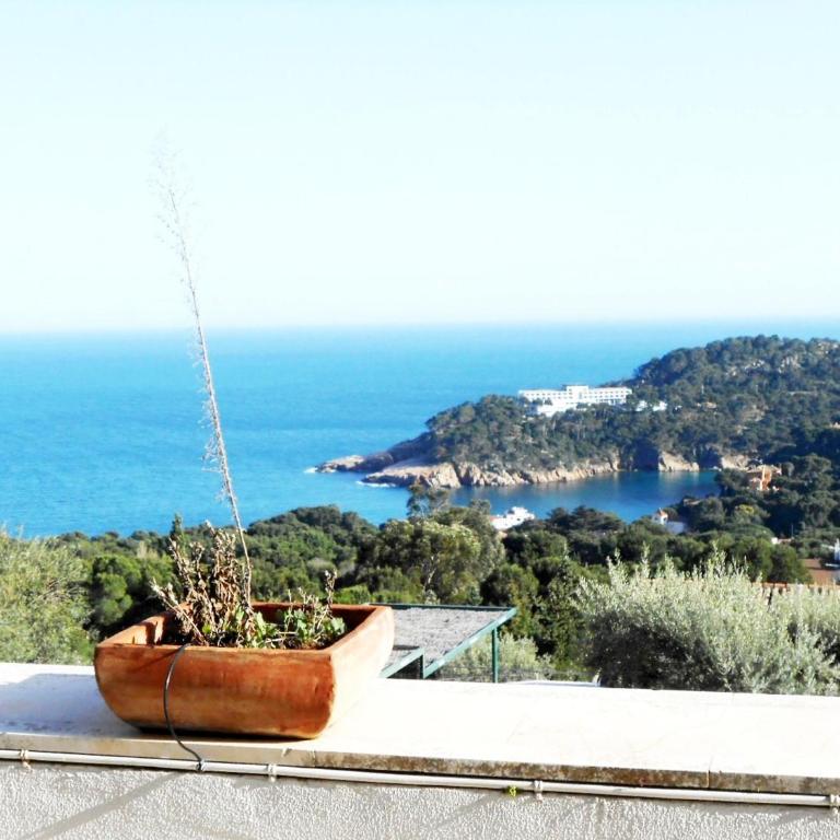 Apartment les oliveres - Apartamento de 2 dormitorios - 19
