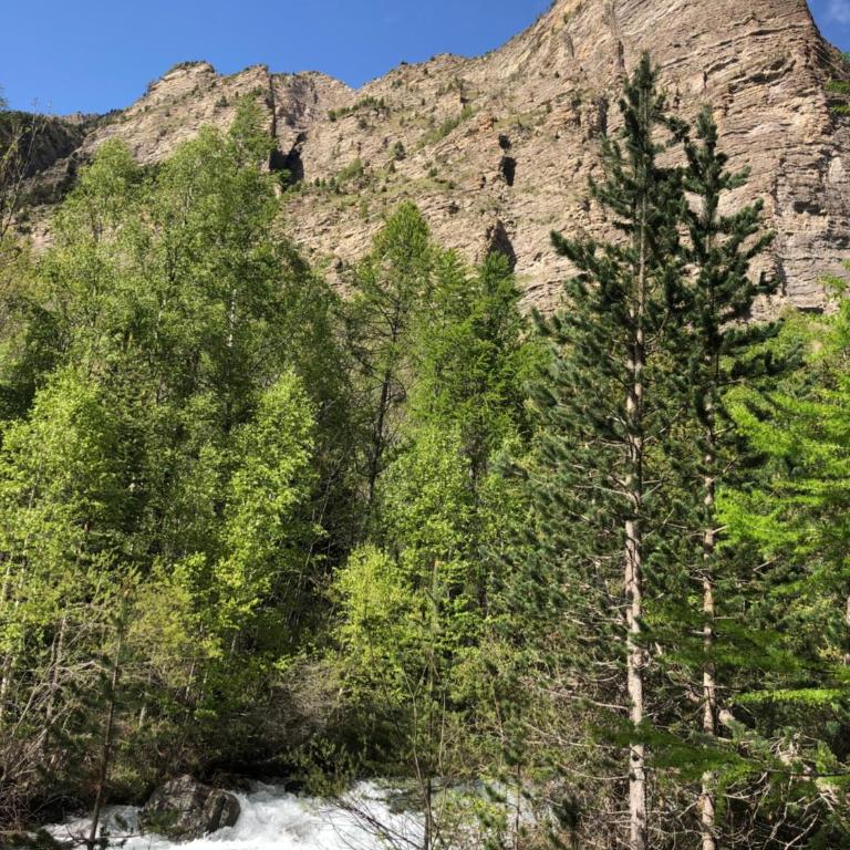 LE PASSE-MONTAGNE Bel appartement avec terrasse dans vieille ferme de montagne rénovée - Two-Bedroom Apartment - 36