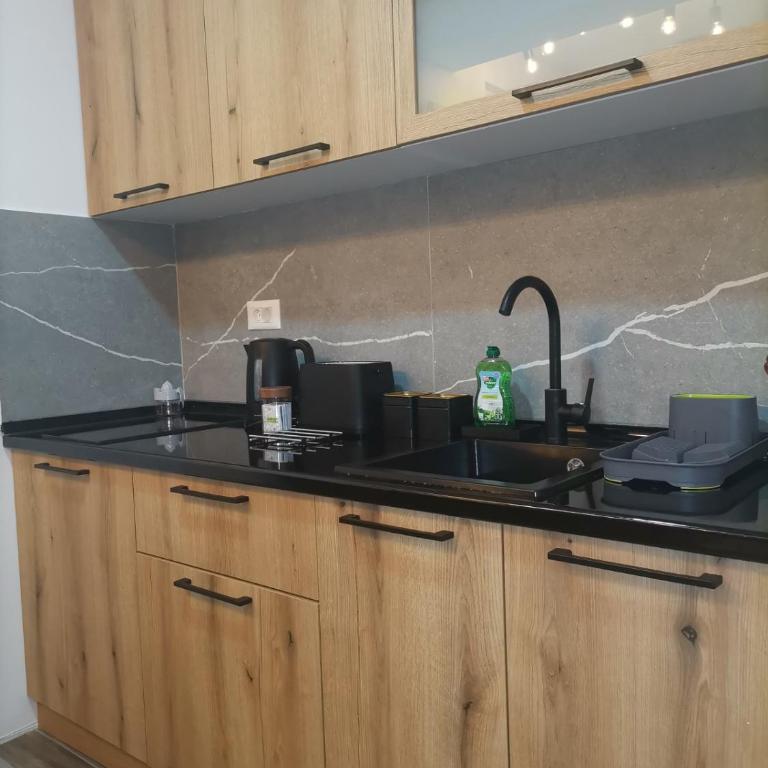 President KOP A515 - One-Bedroom Apartment - 11