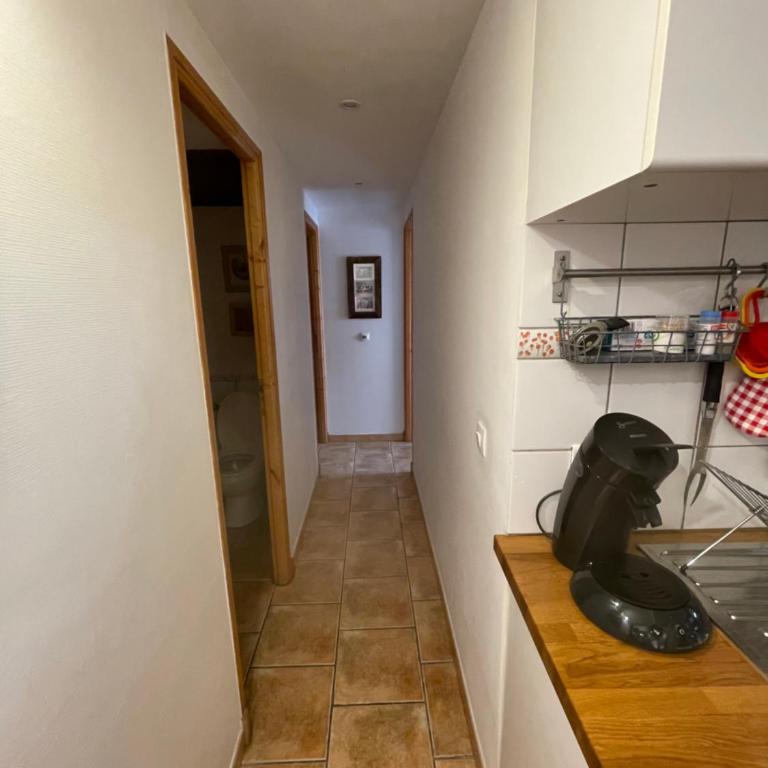 LE BLIZZARD Bel appartement avec grande terrasse dans vieille ferme de montagne rénovée - Apartment - 6