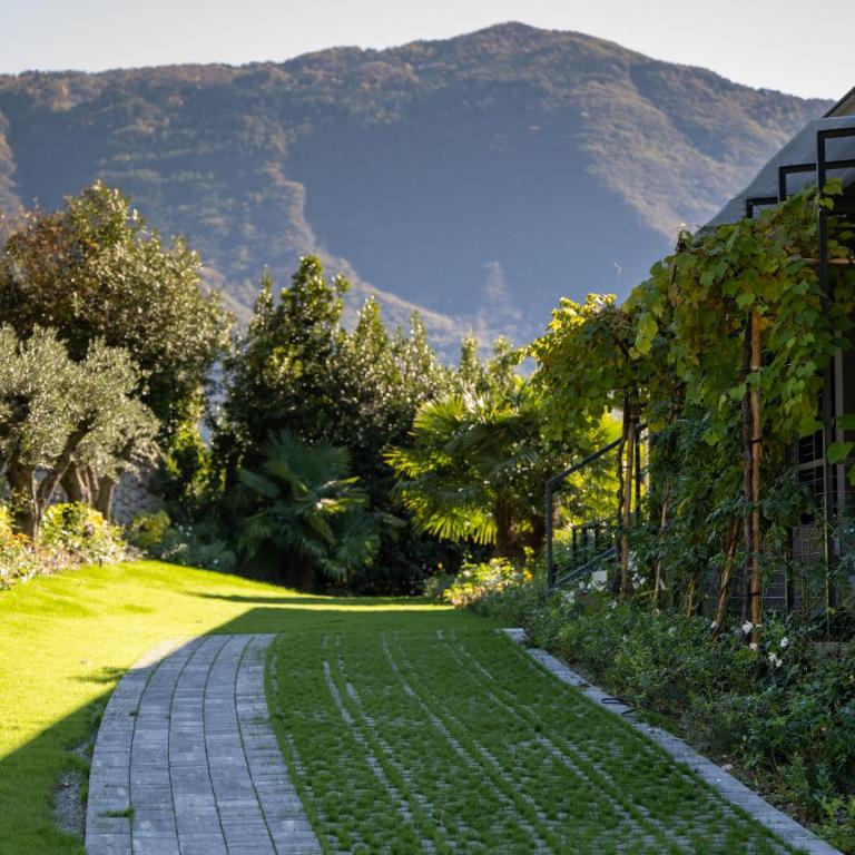ARCOLIVE Agrisuite - Camera Deluxe Matrimoniale/Doppia con Letti Singoli con Vista Giardino - 23