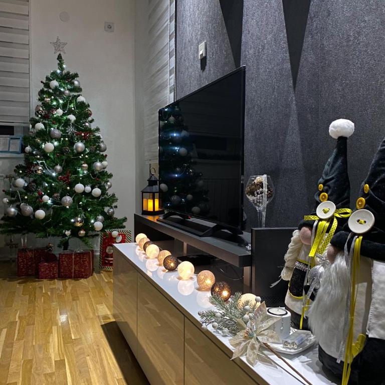 Apartman Georgijev - Apartman sa 1 Spavaćom Sobom - 30